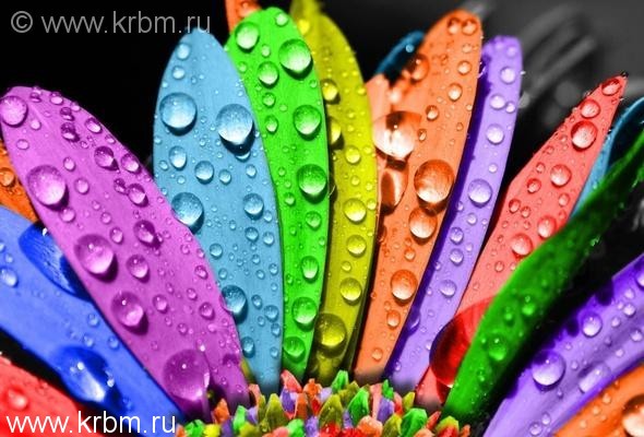 Открыть для себя мир поэзии и литературы