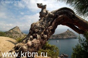 paradiz-ili-mir-v-novom-svete